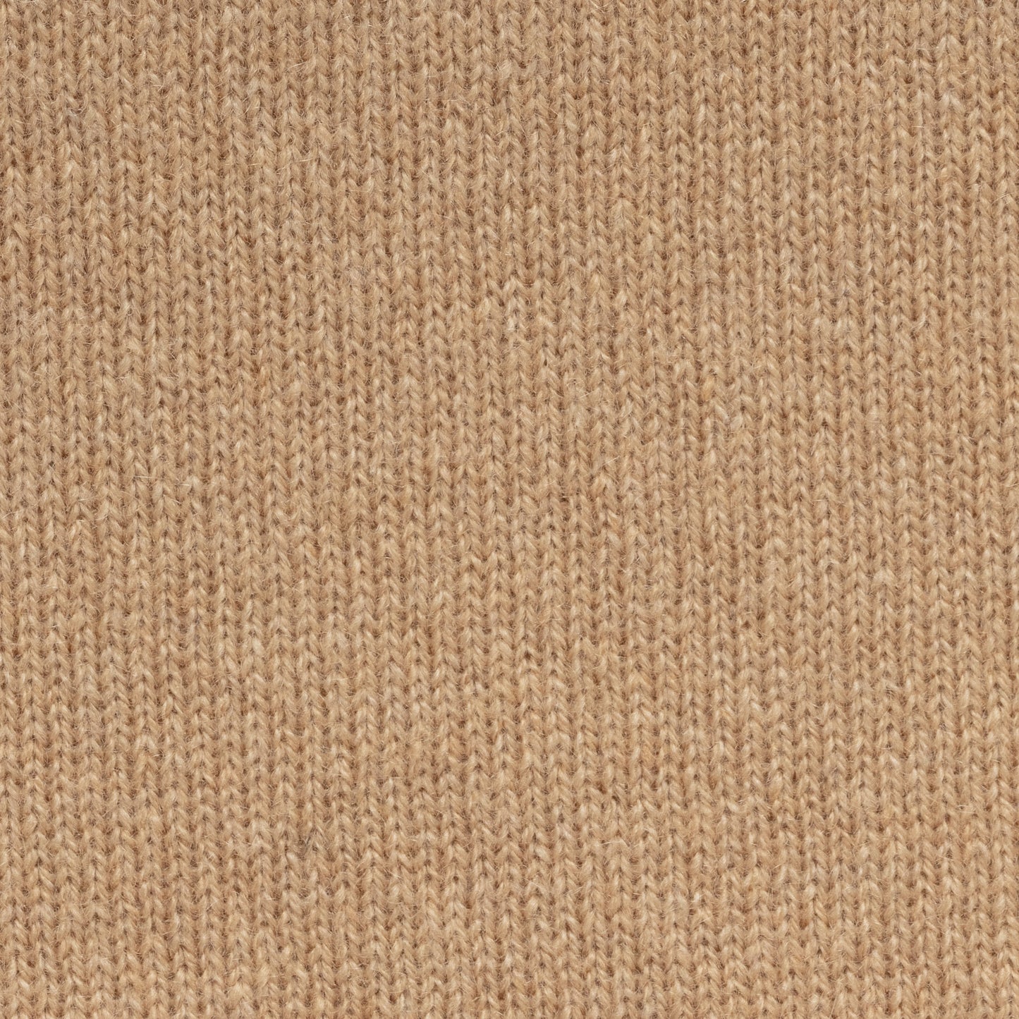 Camel cashmere