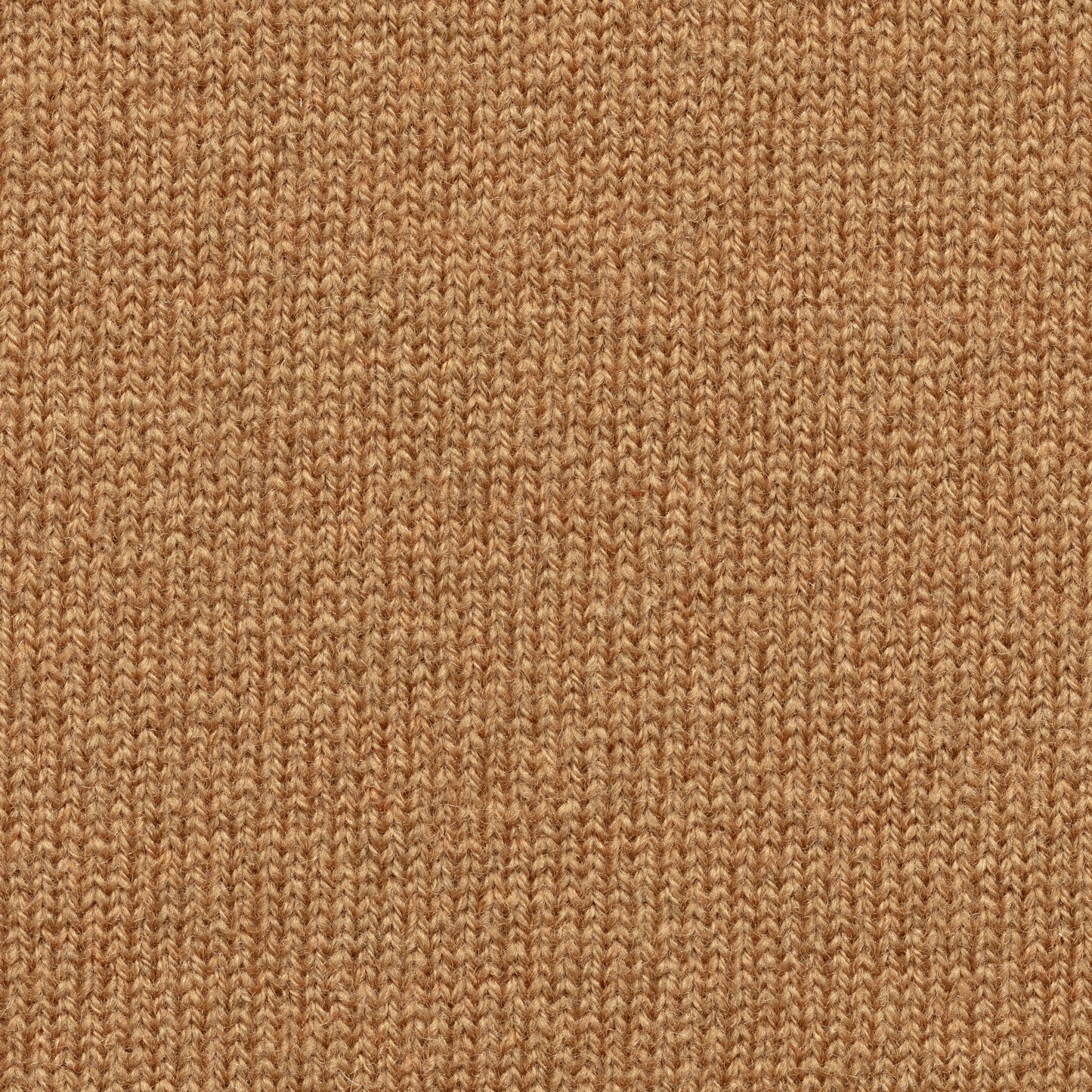 Camel wool-cashmere